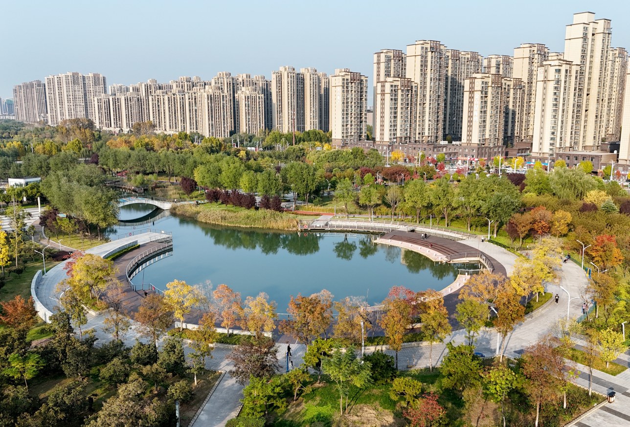 中央公園秋意濃